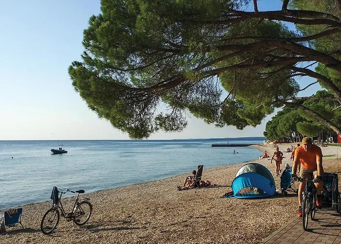 公寓 1 Bedroom Awesome In